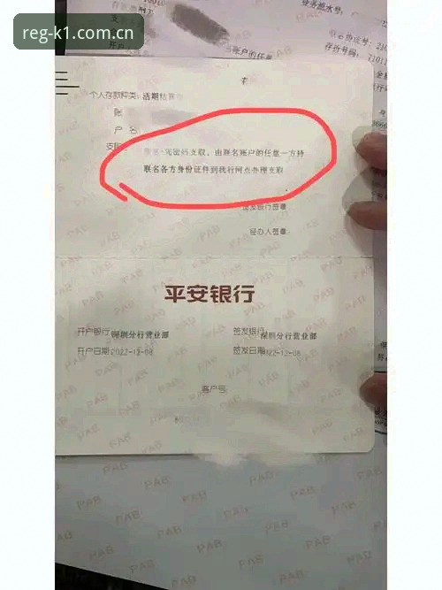 K1体育官网地址安卓版 K1体育体验金深度评测:安卓版下载与账户安全全解析